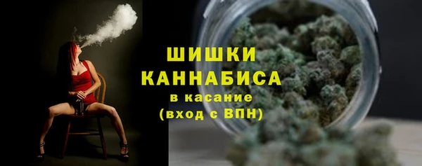 2c-b Белокуриха