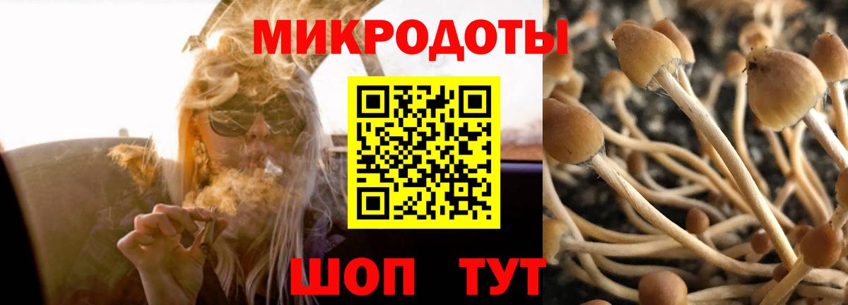 Галлюциногенные грибы ЛСД  Вход с VPN  Лыткарино  Галлюциногенные грибы прущие грибы 